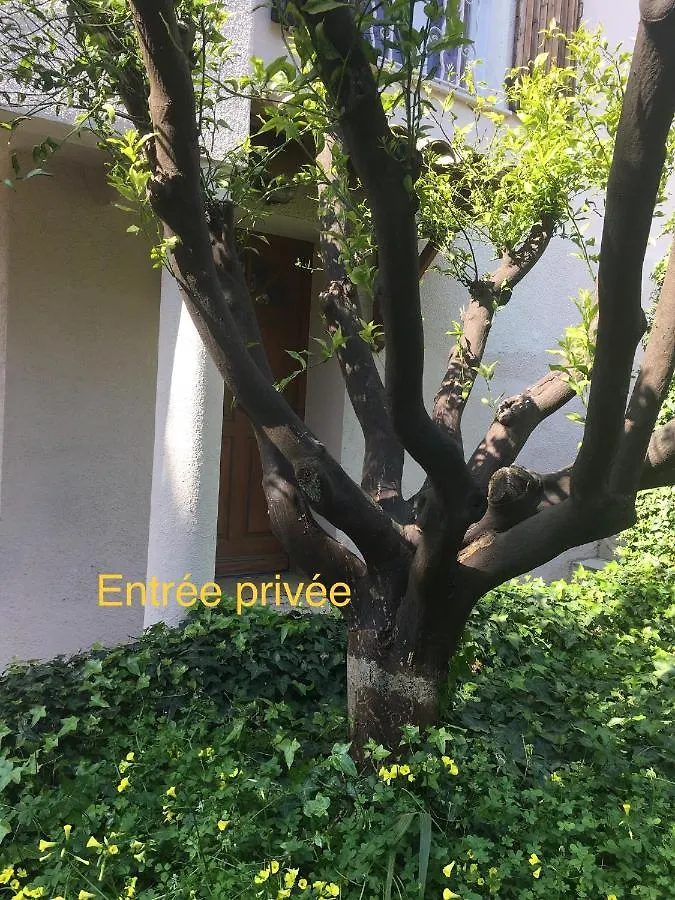 Guest house La Nectarine Hotel Nice